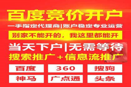 SEM托管服务案例：优化策略与效果展示